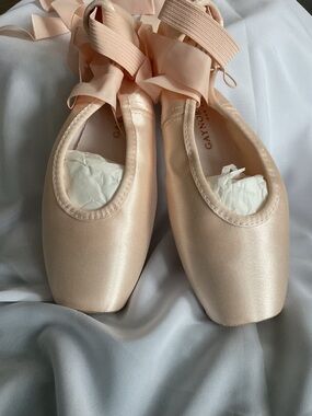 Gaynor Minden Sculpted Pointe Shoe with Elastics and Ribbon